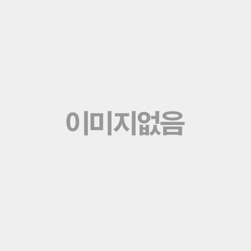 이콘을 통해 바라본 예수 그리스도의 이해 = Understanding of Jesus Christ through the Icon